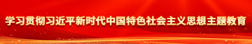 美女想要被鸡巴爆操学习贯彻习近平新时代中国特色社会主义思想主题教育